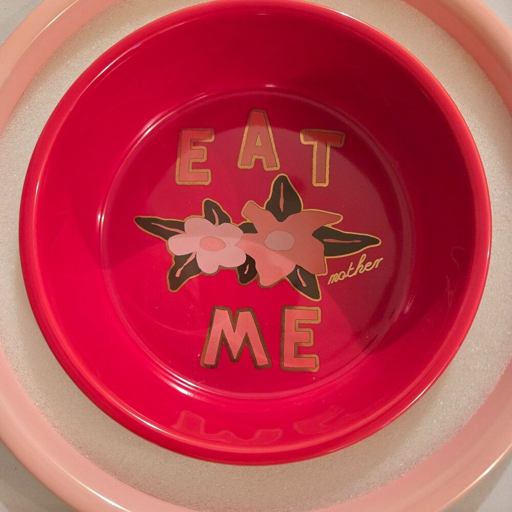 Brand new dog food and water bowl